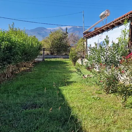 Modern Sea In Leptokarya (Pieria)